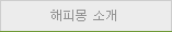 해피몽 소개