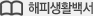 해피생활백서